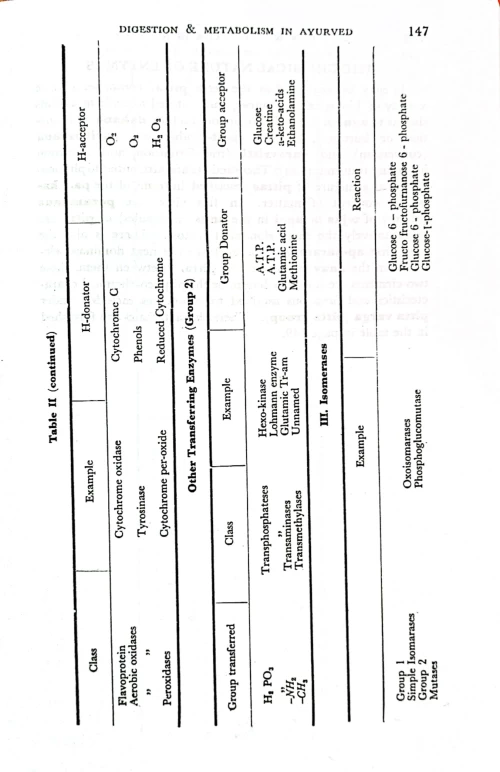 Digestion And Metabolism in Ayurveda
